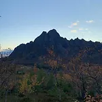 Lofoten- Fjøsen Orsvag