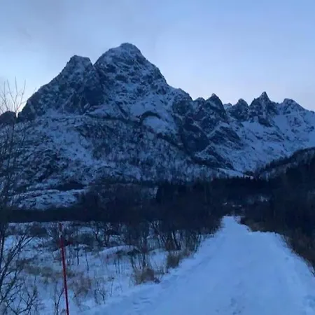 Lofoten- Fjosen 度假居 *