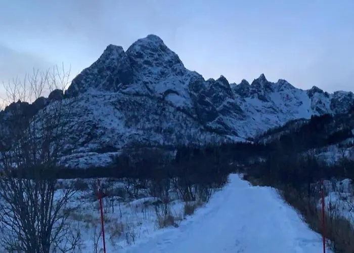 Lofoten- Fjøsen Feriehus *